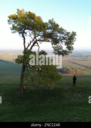 Martinsell Hill collina dell'età del ferro. Vale di Pewsey. Wiltshire. Inghilterra. REGNO UNITO Foto Stock