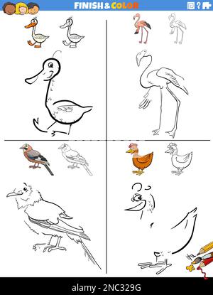 Cartoon illustrazione di disegno e colorare fogli di lavoro didattici con divertenti uccelli animali personaggi Illustrazione Vettoriale