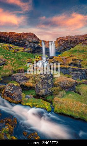 Splendido scenario estivo. Alba estiva mozzafiato sulla cascata delle pecore. Straordinaria scena mattutina dell'Islanda, Europa. Bellezza della natura concetto b Foto Stock