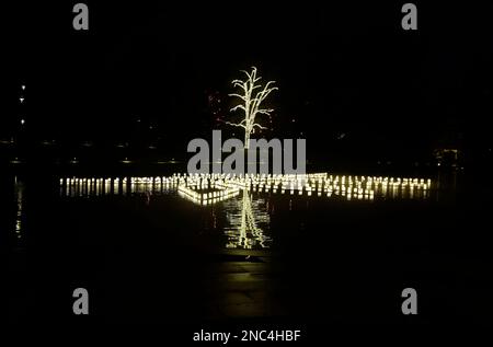 Luci bianche sull'acqua, riflessi, grande albero coperto di luci bianche oltre, decorazioni natalizie, festivo, festa, sfondo nero, notte Foto Stock