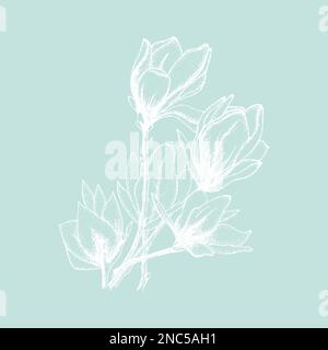 Fiori d'oro, illustrazione vettoriale, grazie schede isolate su sfondo bianco Illustrazione Vettoriale