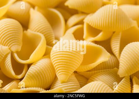 Pasta cruda Conchiglie fatta in casa pronta per la cottura Foto Stock