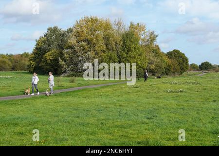 Dog walkers nel parco nazionale di Hornchurch, London Borough of Havering, Inghilterra Regno Unito Regno Unito Foto Stock