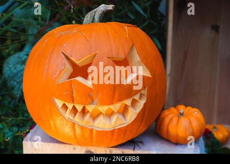 Zucca di Halloween intagliata, jack-o'-lanterna, in casa giardino di fronte Foto Stock