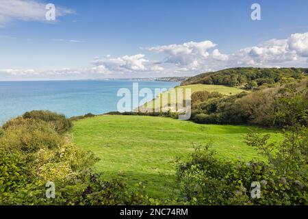 Foto con vista sulla costa della Manica a Varengeville-sur-Mer, Francia Foto Stock