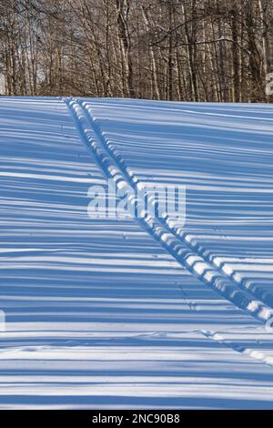 Piste da sci di fondo che scendono giù per una collina su un campo da golf nel Michigan centrale, Stati Uniti Foto Stock