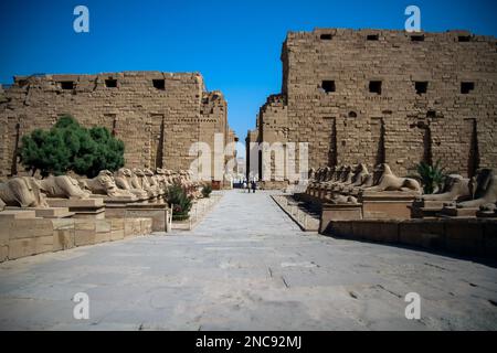 Luxor, Egitto. Il complesso del Tempio di Karnak, comprende un vasto mix di templi decadenti. Questo è l'ingresso principale al tempio con i Rams di Amon Foto Stock