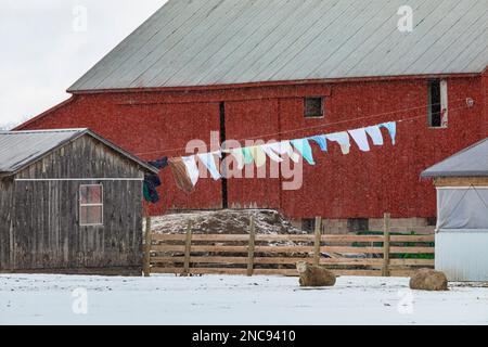 Lavanderia appesa a un alto vestito su una puleggia in una fattoria Amish in Michigan, USA [Nessun rilascio di proprietà; solo licenza editoriale] Foto Stock