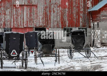 Buggy Amish parcheggiati di fronte a un fienile durante una riunione nel Michigan, USA [Nessuna proprietà rilasciata; solo licenza editoriale] Foto Stock