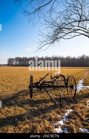 Vecchio rastrello di fieno trainato da cavalli ai margini di una fattoria nella contea di Mecosta, Michigan, USA Foto Stock
