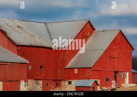 Enorme vecchio fienile rosso, ora di proprietà di un agricoltore Amish, contea di Mecosta, Michigan, USA [Nessuna release di proprietà; solo licenza editoriale] Foto Stock