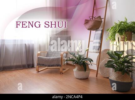 Belle piante in vasi di vimini vicino parete bianca al coperto. Filosofia Feng Shui Foto Stock
