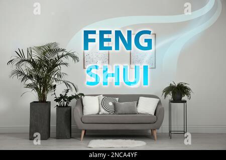 Elegante soggiorno interno con divani e piante moderni. Filosofia Feng Shui Foto Stock