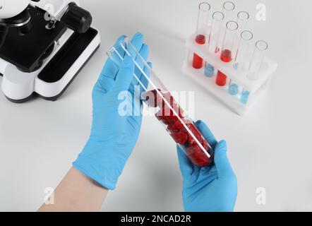 Scienziato che tiene in laboratorio una provetta contenente pezzi di carne cruda coltivata, primo piano Foto Stock