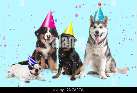 Adorabili cani con cappelli da festa su sfondo turchese Foto Stock