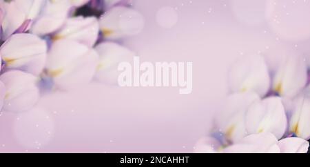 Messa a fuoco morbida sul glicine fiorente in tonalità pastello con sfondo sfocato astratto Foto Stock