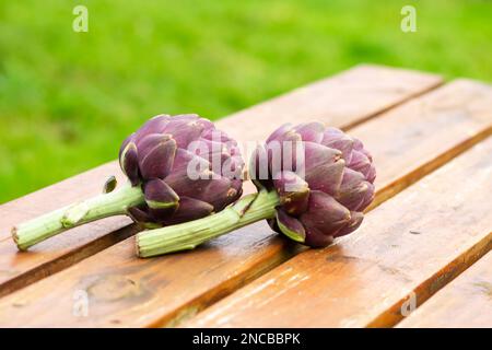 Carciofi su uno sfondo di legno primo piano. Due carciofi viola. Foto Stock