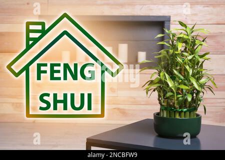 Pentola con bambù verde sul tavolo in camera. Filosofia Feng Shui Foto Stock