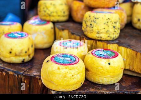 Formaggio gouda argentino con muffe al pepe Foto Stock