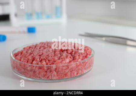 Capsula di Petri con carne cruda macinata coltivata su tavola bianca in laboratorio, primo piano Foto Stock