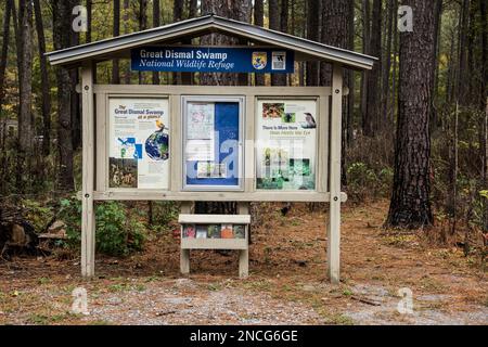 Scene e segni dal Great Dismal Swamp National Wildlife Refuge, Virginia, USA Foto Stock
