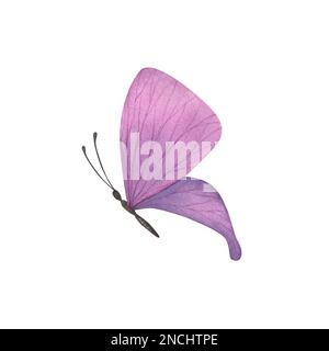 Farfalla viola con ali dettagliate isolate su sfondo bianco. Acquerello disegnato a mano un'illusione realistica di insetti per banner di design, poster. Foto Stock