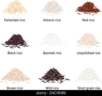 Tipi di riso serie piatta di immagini isolate con pile di grits di riso con didascalie di testo modificabili illustrazione vettoriale Illustrazione Vettoriale