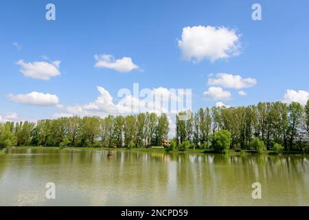 Piccolo lago con un mulino a legna e un'isola dal Parco Chindiei (Parcul Chindiei) a Targoviste, Romania, in una soleggiata giornata primaverile con nuvole bianche e blu Foto Stock