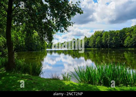 Laghetto a paddling a Bad Wünnenberg. Natura nel parco con un piccolo lago. Foto Stock