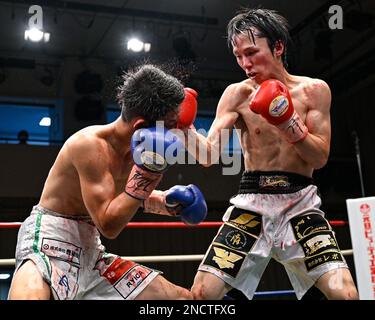 Tokyo, Giappone. 14th Feb, 2023. Kenta Nakagawa (guanti rossi) e Akio Furutani (guanti blu) si sfidano durante il loro incontro vacante di boxe Super Flyweight del WBO Asia Pacific presso Korakuen Hall a Tokyo, Giappone, il 14 febbraio 2023. Credit: Hiroaki Finito Yamaguchi/AFLO/Alamy Live News Foto Stock