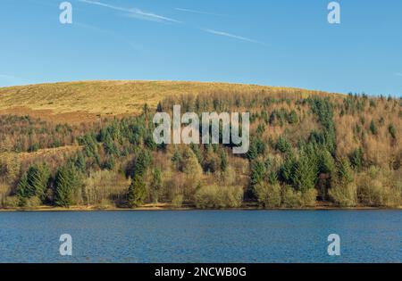 Pontsticill Reservoir nel Brecon Beacons Powys South Wales in una soleggiata giornata primaverile Foto Stock