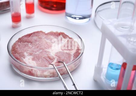 Campione di carne coltivata su un tavolo da laboratorio bianco Foto Stock