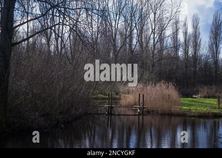 Polderpark Cronesteyn grande parco nella città di Leiden, nella provincia olandese del Sud Olanda Foto Stock