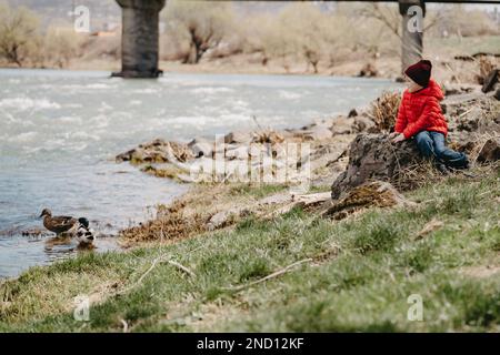 Un giovane uomo in giacca rossa siede su una roccia vicino al fiume e guarda le anatre in primavera. Foto Stock
