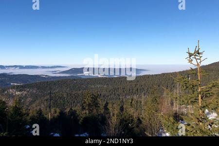 Bodenmais, Germania. 15th Feb, 2023. Il cielo blu si può vedere sulla Foresta Bavarese, mentre nella valle c'è ancora nebbia. Vista dal centro di sci di fondo Bretterschachten vicino a Bodenmais (quartiere Regen) vicino al Großer Arber (1455 metri). Credit: Ute Wessels/-/dpa/Alamy Live News Foto Stock