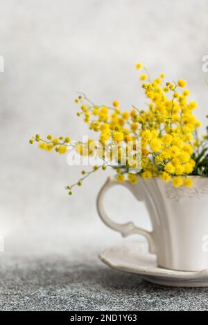 Fiori di mimosa giallo brillante in tazza di ceramica su fondo di cemento Foto Stock