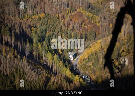 Uno scatto aereo della piccola casa vicino all'autostrada nelle montagne Harz con alberi di foresta Foto Stock