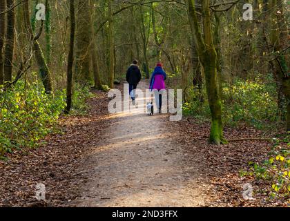 Camminando il cane a Elmdon Park, Solihull, West Midlands, Regno Unito Foto Stock