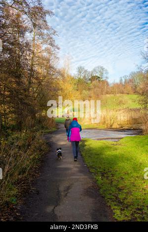 Camminando il cane a Elmdon Park, Solihull, West Midlands, Regno Unito Foto Stock