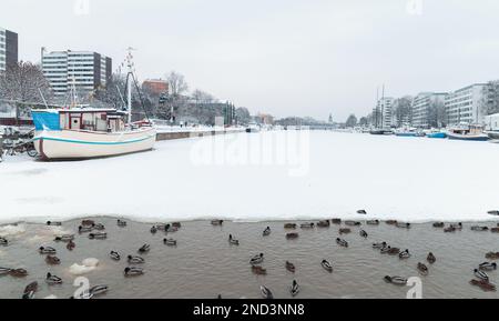 Paesaggio urbano invernale di Turku, Finlandia. Anatre sono in acqua di fiume Foto Stock