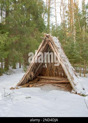 Un colpo verticale di una capanna di legno nella foresta coperta di neve. Foto Stock