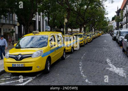 Taxi Yellow Cabs allineati lungo una strada principale a Funchal, Madeira. Visita in nave da crociera mentre fai una passeggiata indipendente per Funchal. Foto Stock