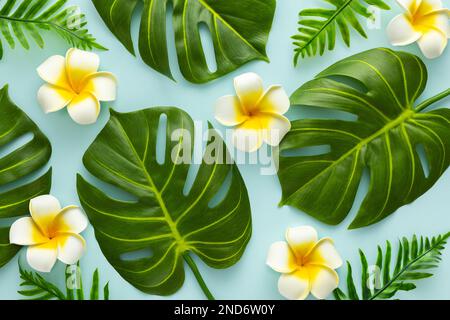 Sfondo estivo con fiori di frangipani tropicali e verdi foglie di palma tropicali su sfondo chiaro. Piano di giacitura, vista dall'alto. Foto Stock
