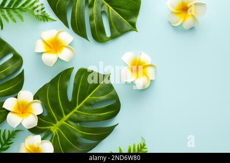 Sfondo estivo con fiori di frangipani tropicali e verdi foglie di palma tropicali su sfondo chiaro. Piano di giacitura, vista dall'alto. Foto Stock