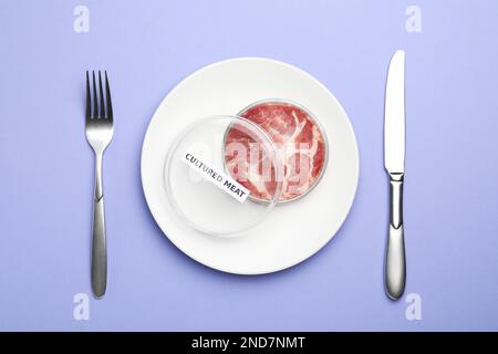 Carne coltivata in piatto di Petri servita su fondo viola chiaro, piatto Foto Stock