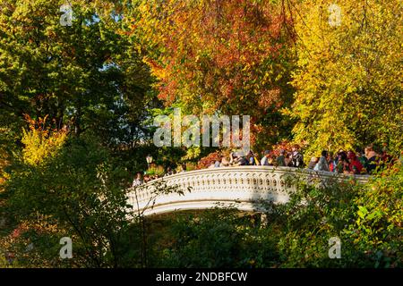 La luce del sole autunnale illumina una fila di alberi di colore fogliare autunnale lungo la Fifth Avenue Foto Stock