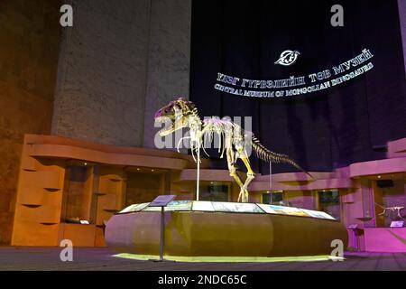 Scheletro di dinosauro bataar Tarbosaurus, Museo centrale dei dinosauri mongoli, Museo di Storia Naturale, Ulaanbaatar, Mongolia Foto Stock