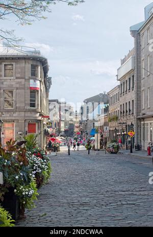 Città di Montreal in estate in una giornata di sole. La ville de Montréal par une belle journée ensoleillée. Foto Stock