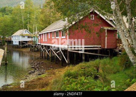 Telegraph Cove Boardwalk edifici storici su Pilings. Gli alloggi sono costruiti su pali che circondano la storica Telegraph Cove. Foto Stock