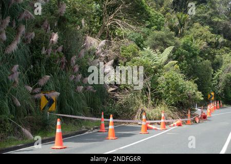 A seguito della tempesta tropicale ciclone Gabrielle si è verificato uno slittamento di terra che blocca una metà di un Road.Orange coni di sicurezza sono in luogo intorno all'albero caduto Foto Stock